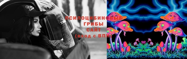 прущие крисы Армянск